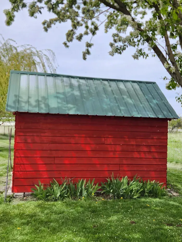 Freshly repainted red shed